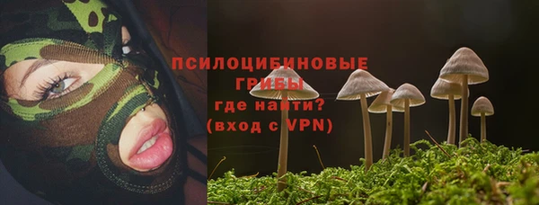 винт Заречный