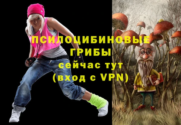 ешки Алзамай