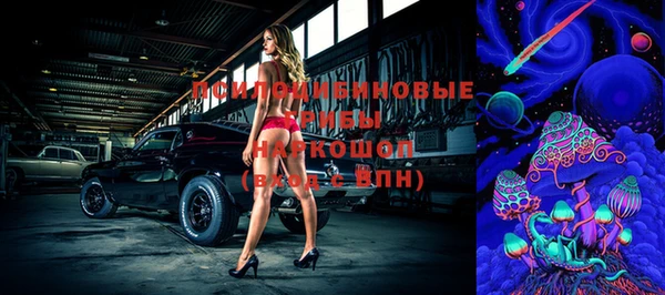 ешки Алзамай
