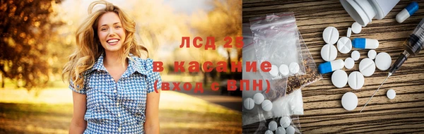 ешки Алзамай