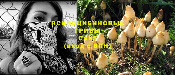 ешки Алзамай
