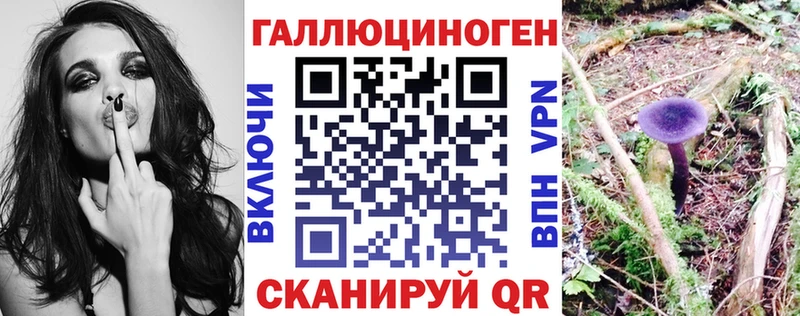 как найти наркотики  Анива  Галлюциногенные грибы GOLDEN TEACHER 